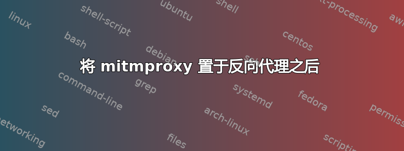 将 mitmproxy 置于反向代理之后