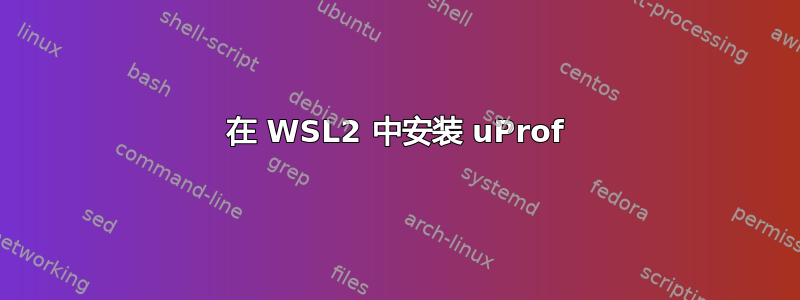 在 WSL2 中安装 uProf