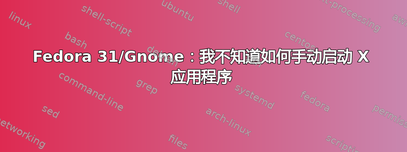 Fedora 31/Gnome：我不知道如何手动启动 X 应用程序