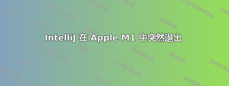 IntelliJ 在 Apple M1 中突然退出