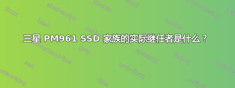 三星 PM961 SSD 家族的实际继任者是什么？