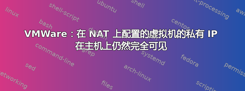 VMWare：在 NAT 上配置的虚拟机的私有 IP 在主机上仍然完全可见