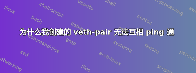 为什么我创建的 veth-pair 无法互相 ping 通