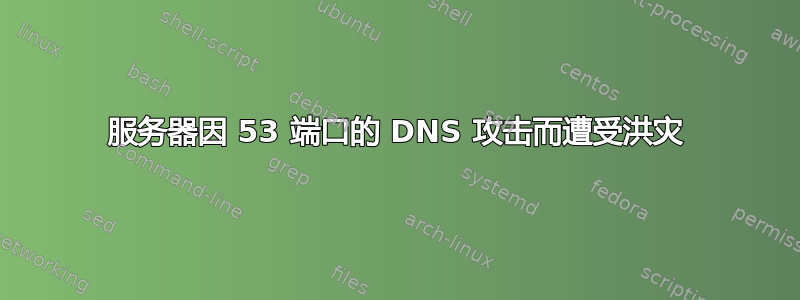 服务器因 53 端口的 DNS 攻击而遭受洪灾