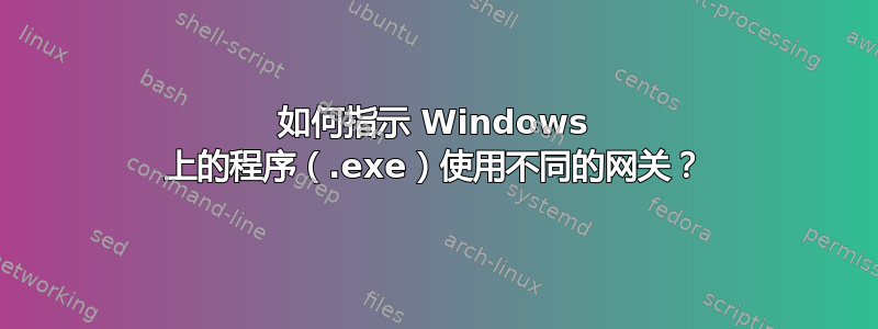 如何指示 Windows 上的程序（.exe）使用不同的网关？