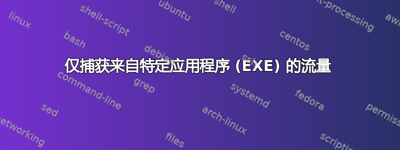 仅捕获来自特定应用程序 (EXE) 的流量