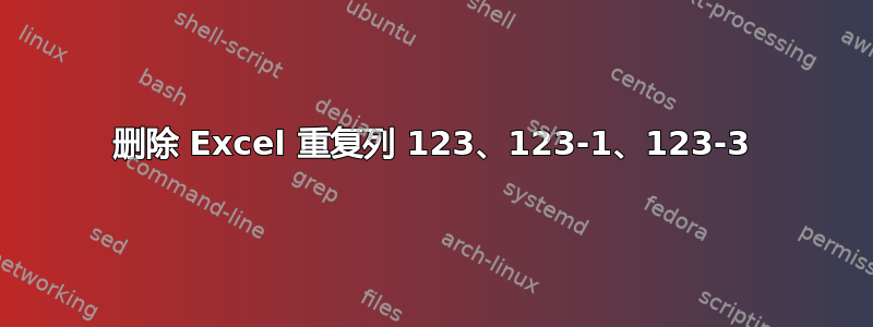 删除 Excel 重复列 123、123-1、123-3