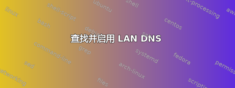 查找并启用 LAN DNS