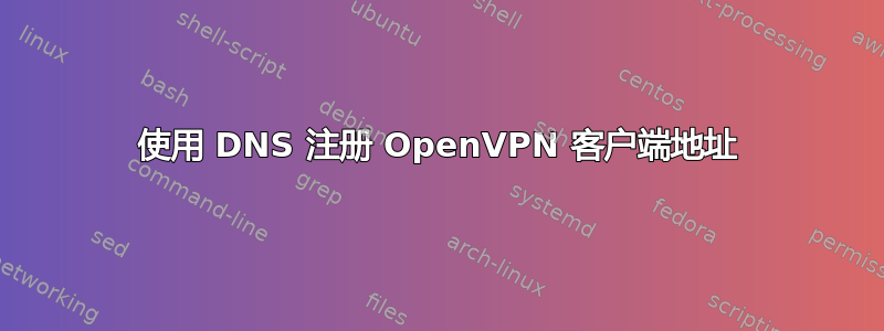 使用 DNS 注册 OpenVPN 客户端地址