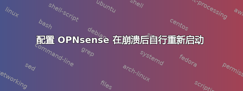 配置 OPNsense 在崩溃后自行重新启动