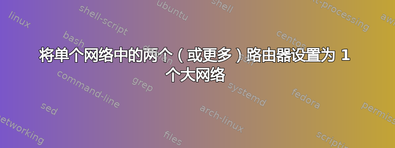 将单个网络中的两个（或更多）路由器设置为 1 个大网络