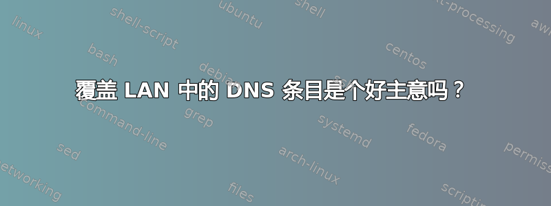 覆盖 LAN 中的 DNS 条目是个好主意吗？