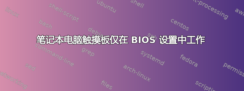 笔记本电脑触摸板仅在 BIOS 设置中工作