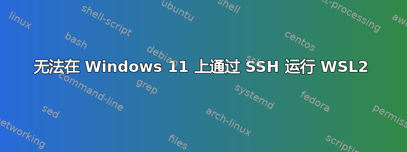 无法在 Windows 11 上通过 SSH 运行 WSL2