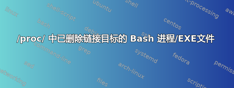 /proc/ 中已删除链接目标的 Bash 进程/EXE文件