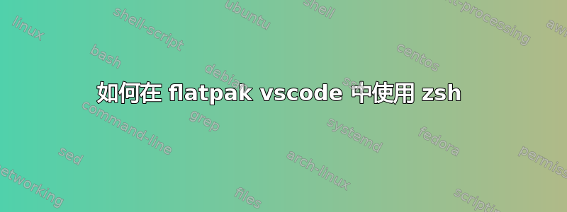 如何在 flatpak vscode 中使用 zsh