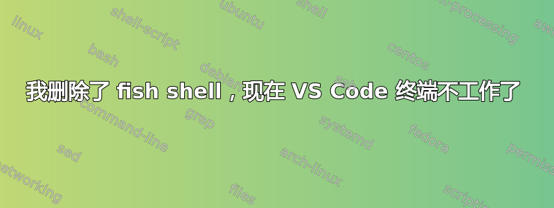 我删除了 fish shell，现在 VS Code 终端不工作了