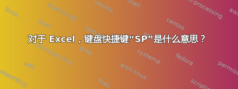 对于 Excel，键盘快捷键“SP”是什么意思？