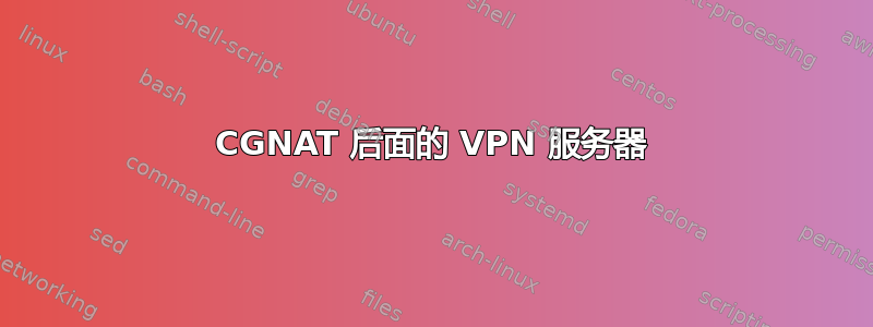 CGNAT 后面的 VPN 服务器