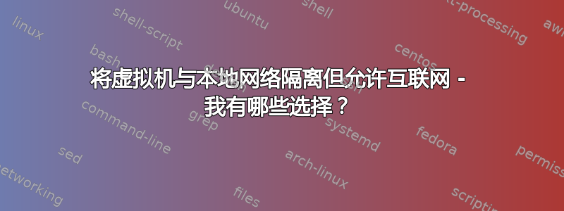 将虚拟机与本地网络隔离但允许互联网 - 我有哪些选择？