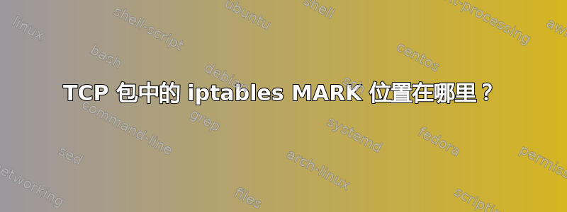 TCP 包中的 iptables MARK 位置在哪里？