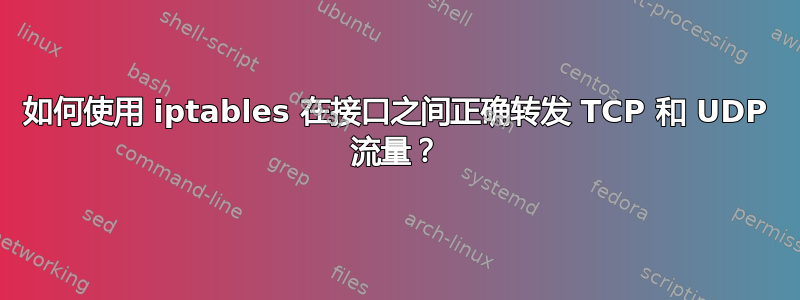 如何使用 iptables 在接口之间正确转发 TCP 和 UDP 流量？