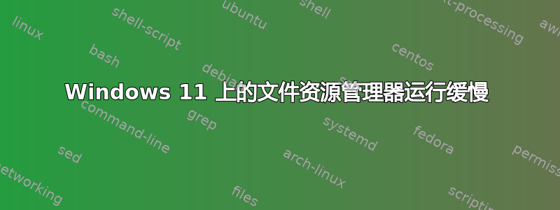 Windows 11 上的文件资源管理器运行缓慢