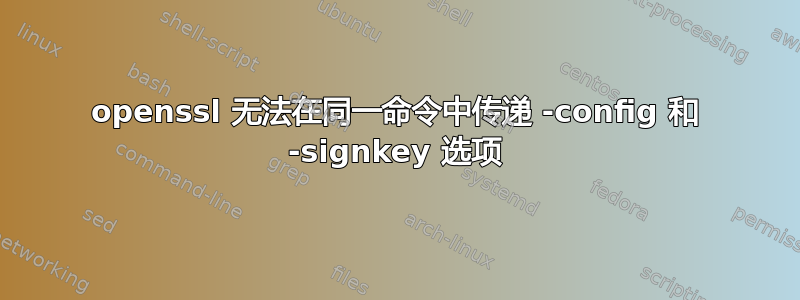 openssl 无法在同一命令中传递 -config 和 -signkey 选项