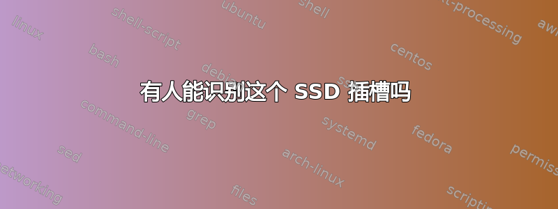 有人能识别这个 SSD 插槽吗