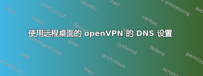 使用远程桌面的 openVPN 的 DNS 设置