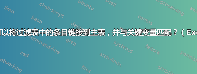 是否可以将过滤表中的条目链接到主表，并与关键变量匹配？（Excel）