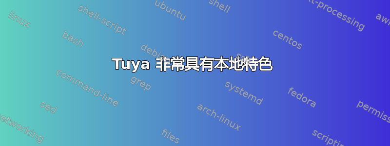 Tuya 非常具有本地特色