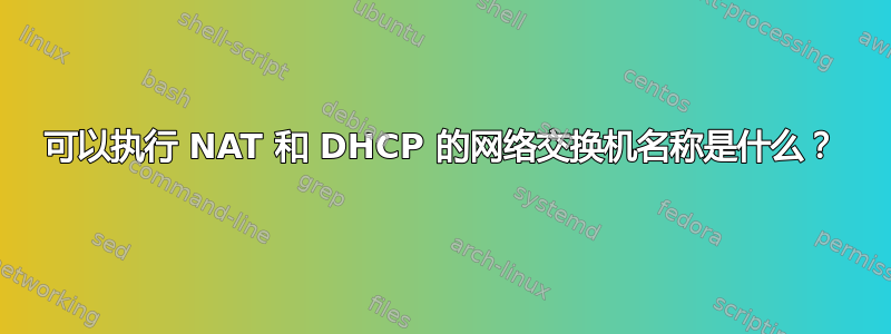 可以执行 NAT 和 DHCP 的网络交换机名称是什么？