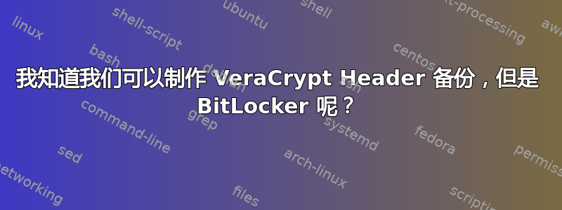 我知道我们可以制作 VeraCrypt Header 备份，但是 BitLocker 呢？