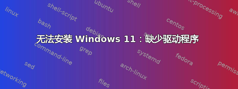 无法安装 Windows 11：缺少驱动程序