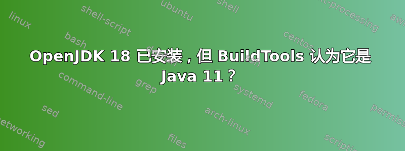 OpenJDK 18 已安装，但 BuildTools 认为它​​是 Java 11？