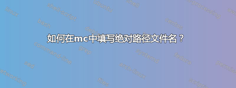 如何在mc中填写绝对路径文件名？