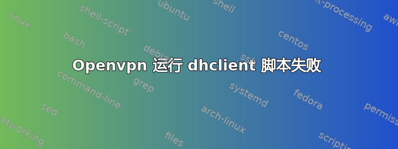 Openvpn 运行 dhclient 脚本失败