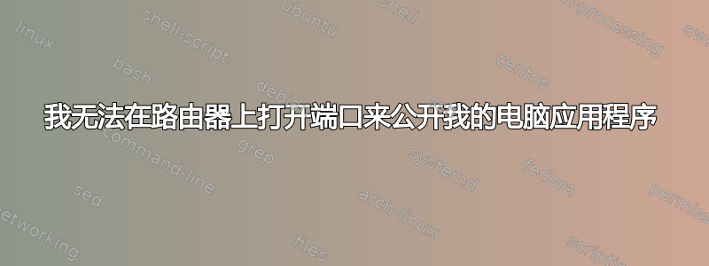 我无法在路由器上打开端口来公开我的电脑应用程序