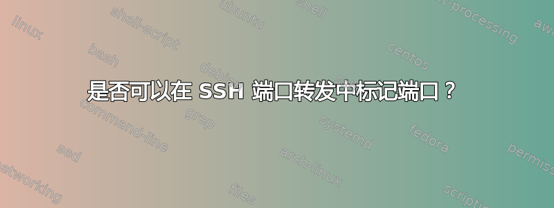 是否可以在 SSH 端口转发中标记端口？