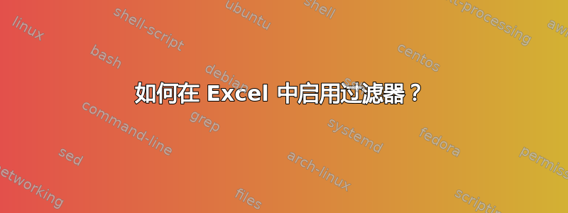 如何在 Excel 中启用过滤器？