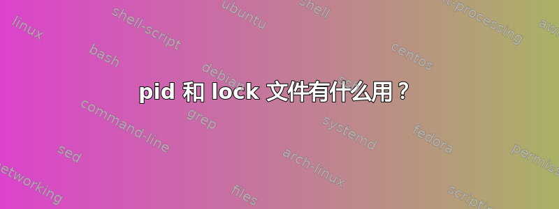 pid 和 lock 文件有什么用？