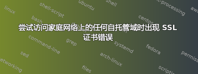 尝试访问家庭网络上的任何自托管域时出现 SSL 证书错误