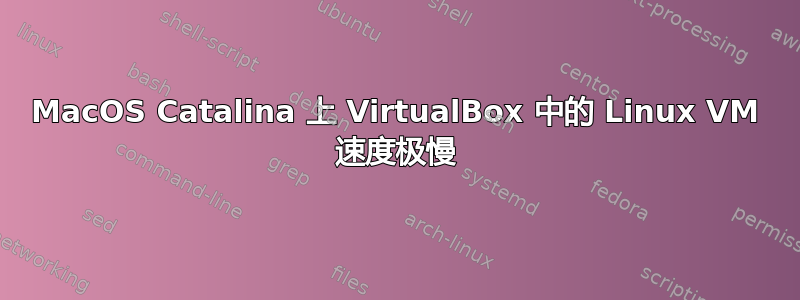 MacOS Catalina 上 VirtualBox 中的 Linux VM 速度极慢