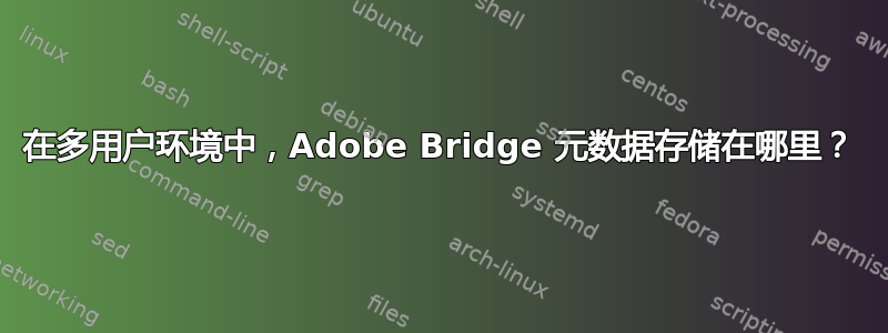 在多用户环境中，Adobe Bridge 元数据存储在哪里？