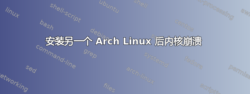 安装另一个 Arch Linux 后内核崩溃