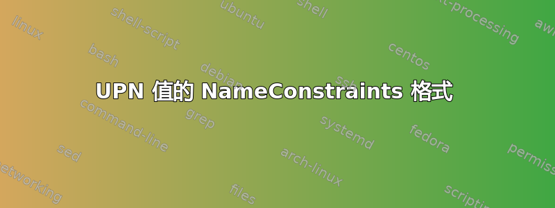 UPN 值的 NameConstraints 格式