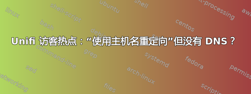 Unifi 访客热点：“使用主机名重定向”但没有 DNS？