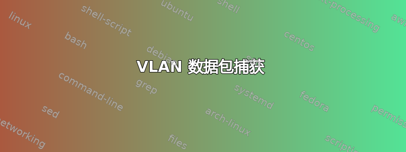 VLAN 数据包捕获