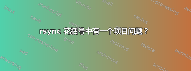 rsync 花括号中有一个项目问题？